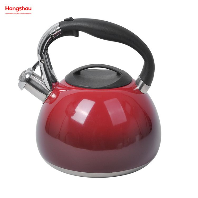 Tetera con silbido para pintar el hogar, tetera de agua caliente, tetera de acero inoxidable 