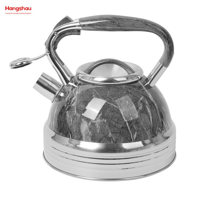 Hervidor de agua de acero inoxidable, tetera con silbido para pintar el hogar, tetera de agua caliente 