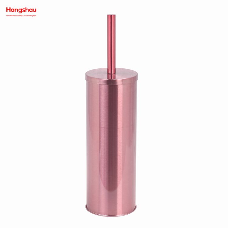 Escobilla de baño de pie de Metal con soporte, juego de limpieza de cepillo de plástico, inodoro de baño mate de acero inoxidable 